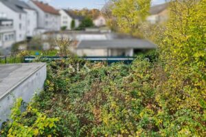 Garten (reaktivierbar)