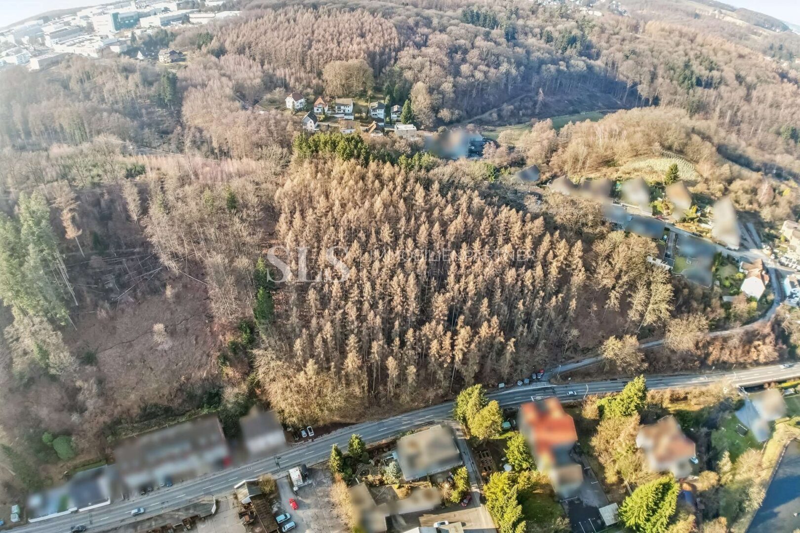 Luftansicht Wald