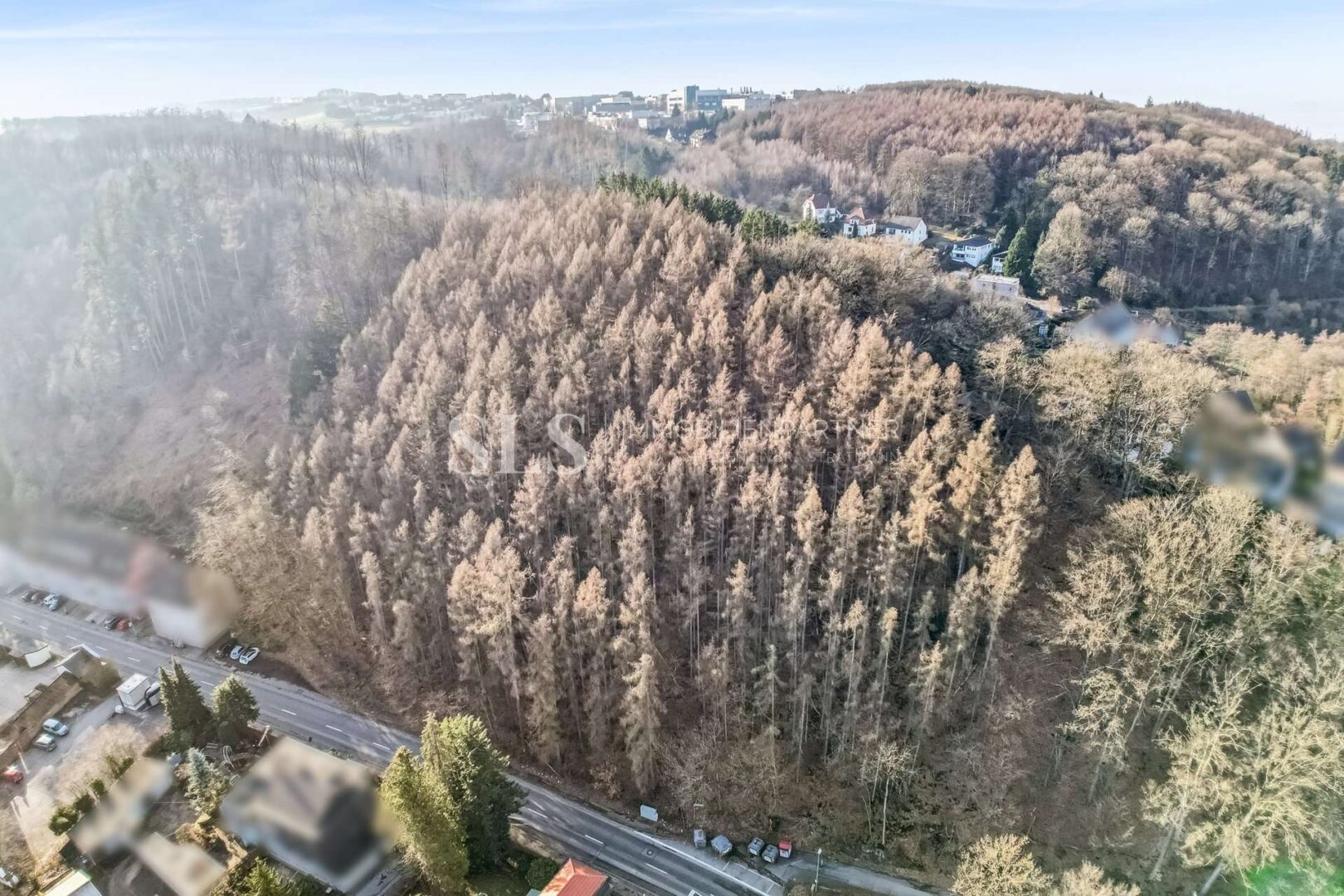 Luftansicht Wald