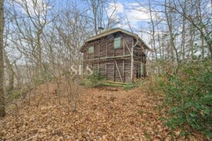 Holzhaus im Wald