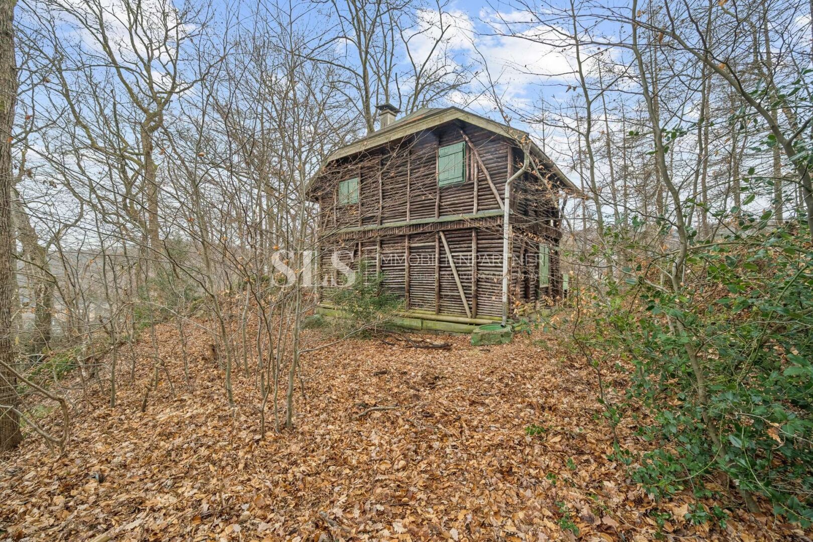 Holzhaus im Wald