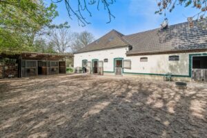 Paddock mit Außenboxen