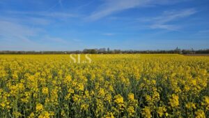 Impressionen aus der Umgebung
