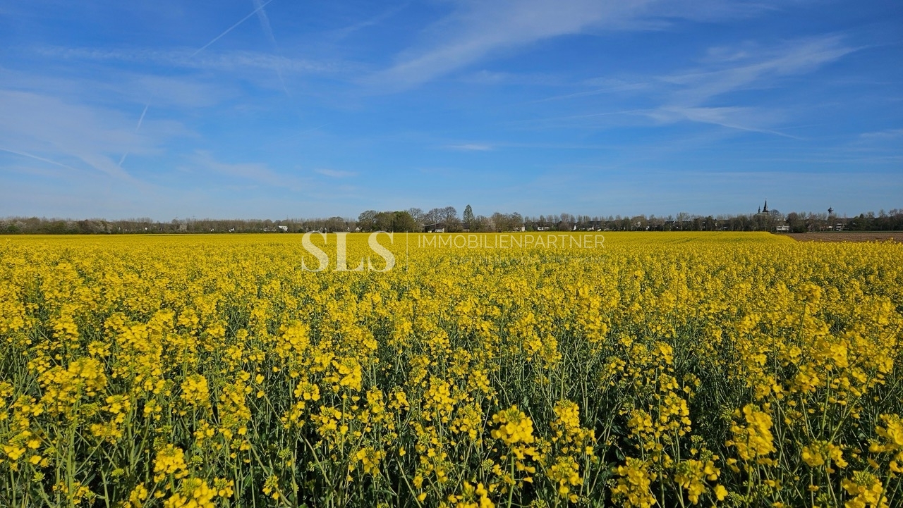 Impressionen aus der Umgebung