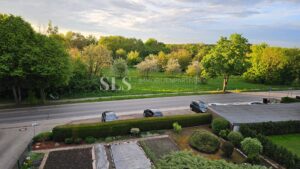 Ausblick in die Natur