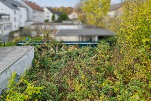 Garten (reaktivierbar)
