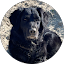 Sarahmo Kartoffel Avatar